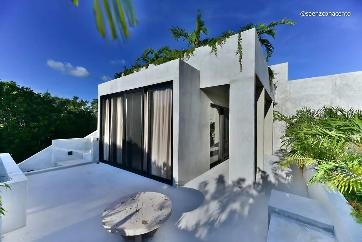 Brutalist 7Br Masterpiece Design, Luxury Pool Villa Tulum Holiday home