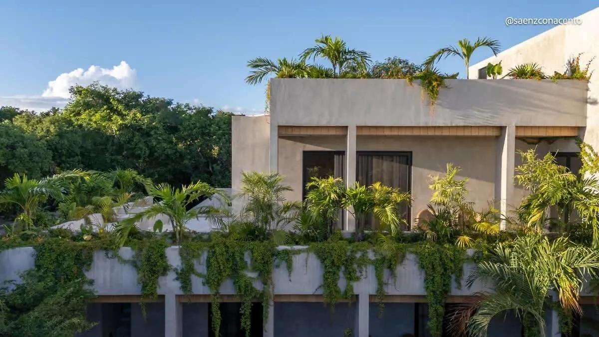 Brutalist 7Br Masterpiece Design, Luxury Pool Villa Tulum Holiday home